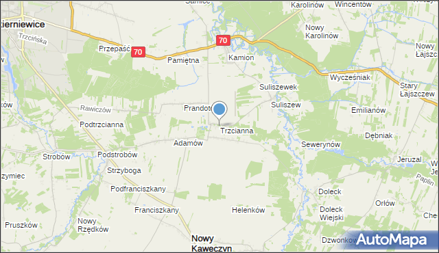 mapa Trzcianna, Trzcianna na mapie Targeo